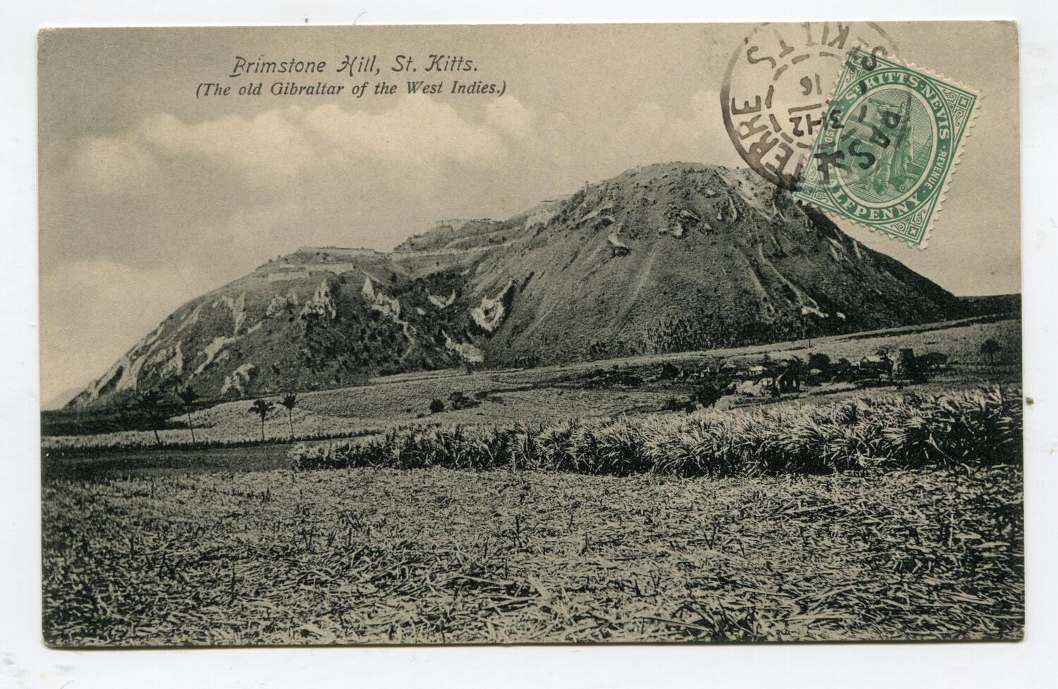 ST KITTS NEVIS