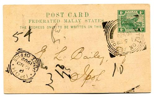 MALAYA 