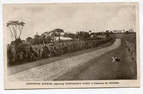 ST HELENA